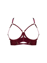 Front cut out image of morello bra showing the exposed chest, with multi straps and gold sliders across the under band, shown without harness straps across the front of the chest