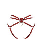Red elastic harness with gold componentry and adjustable strapping that frames the back 