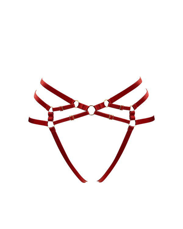 Red Elastic Harness with gold componentry on a white background