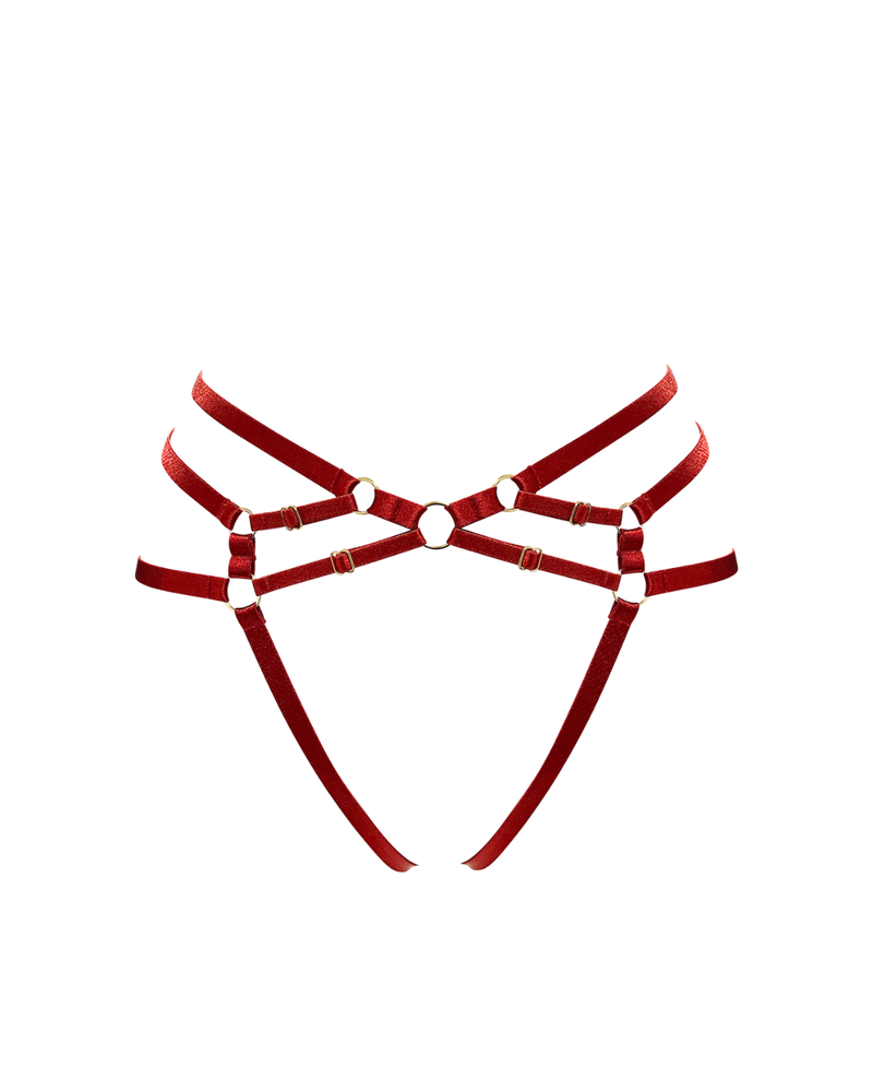 Red Elastic Harness with gold componentry on a white background