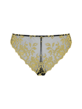 Black brazilian knickers with gold rose design scallop edge detailing shown on a clear background from the back 