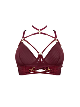 Front image cut out of morello multiway bodice bra with mesh cups attached to gold rings across the the front, multiway straps shown with gold sliders across the chest and over the collarbone with a high neck multi straps attached with gold rings 