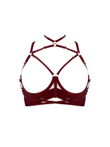 Front image of a Morello bra shown without mesh cups, exposed chest, bodice is attached to gold rings across the front, multiway harness straps with gold sliders shown across the chest and over the collarbone, with high-neck multi straps attached with gold rings