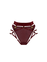 Front image cut out of morello harness brief with high waist strap, shown with mesh knickers underneath, gold attachments connecting to the harness straps over the legs and waist with gold ring detailing centrally on the front