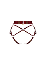 Back image cut out of morello harness brief, thick high waist band with gold sliders attached to adjustable straps across the bottom and leg area 