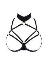 Bordelle Signature Ouvert Wire Bra in Black